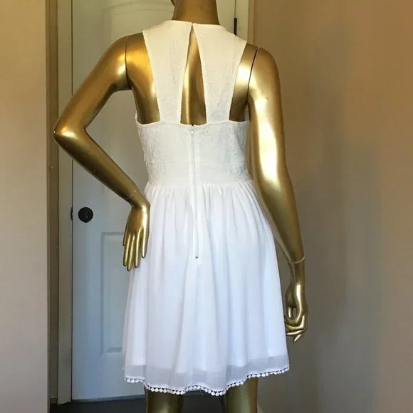 FRANCESCA'S Lace and Chiffon Skater Dress - Picture 6 of 10